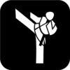 Icon Karate Weiss Auf Schwarz 500px